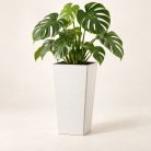 Fehér Loft kaspó monstera növénnyel