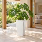 Fehér Loft kaspó monstera növénnyel fedett teraszon