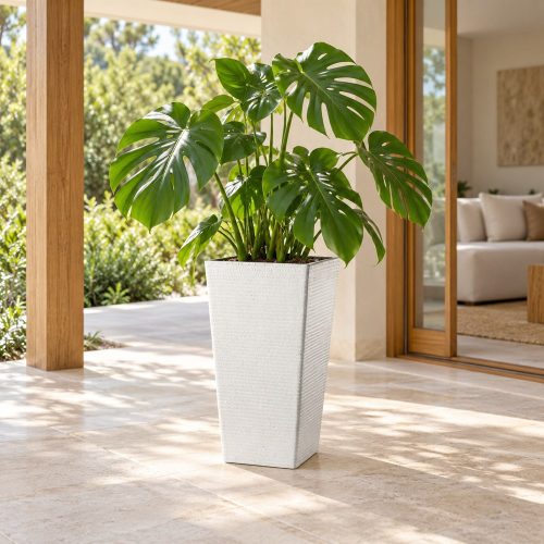 Fehér Loft kaspó monstera növénnyel fedett teraszon
