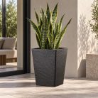 Urban fekete kaspó anyósnyelvvel – 42 × 52,5 cm