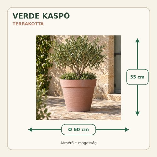 Terrakotta Verde kaspó méretei: 60 cm átmérő és 55 cm magasság