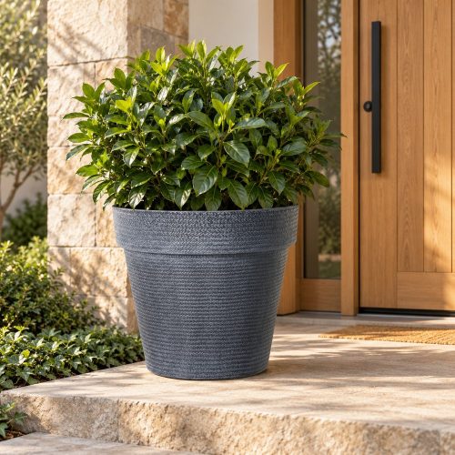 Patio kékesszürke nagyméretű kaspó modern bejáratnál