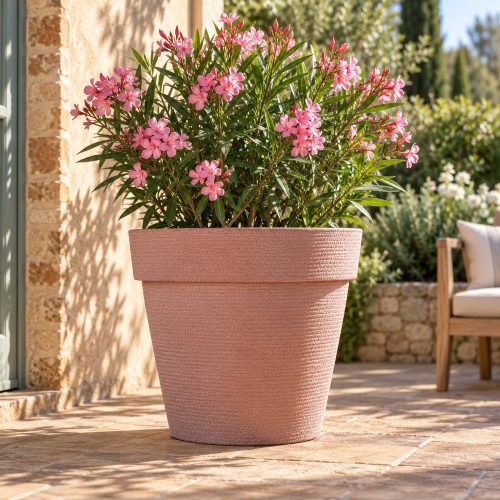 Patio terrakotta nagyméretű kaspó napos teraszon