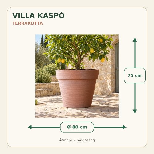 Terrakotta Villa kaspó méretei: 80 cm átmérő és 75 cm magasság