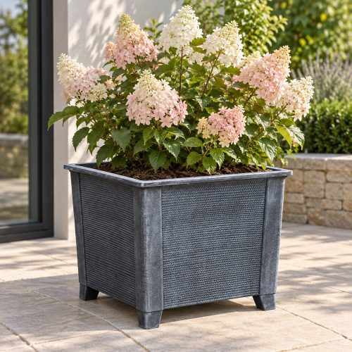 Base kékesszürke kaspó bugás hortenziával – 70 × 57 cm