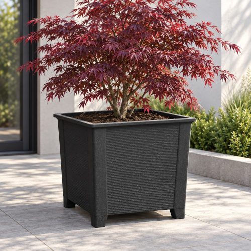 Core fekete kaspó japán juharral – 80 × 70 cm