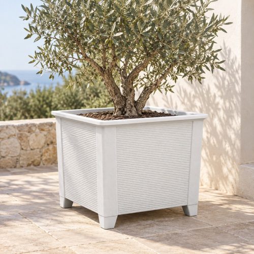 Core fehér kaspó olajfával – 80 × 70 cm