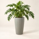 Világosszürke Pure kaspó philodendron növénnyel