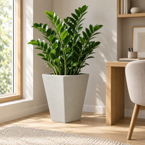 Világosszürke Frame kaspó zamiopálmával modern dolgozószobában