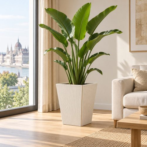 Fehér Frame kaspó Strelitzia növénnyel világos nappaliban