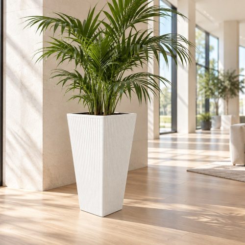 Tall fehér magas kaspó világos modern előtérben