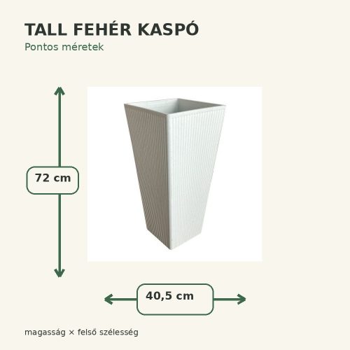 Tall fehér kaspó méretei – 40,5 × 72 cm