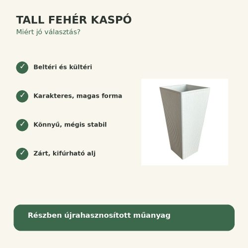 Tall fehér kaspó legfontosabb tulajdonságai