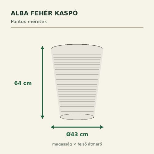 Alba fehér kaspó méretei – Ø43 × 64 cm