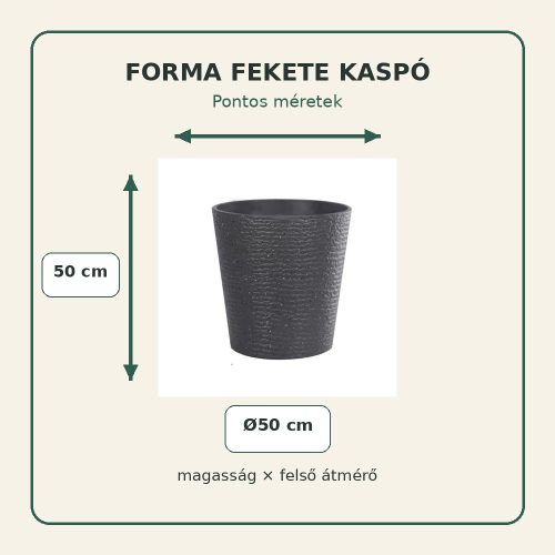 Forma fekete kaspó méretei – 50 × 50 cm