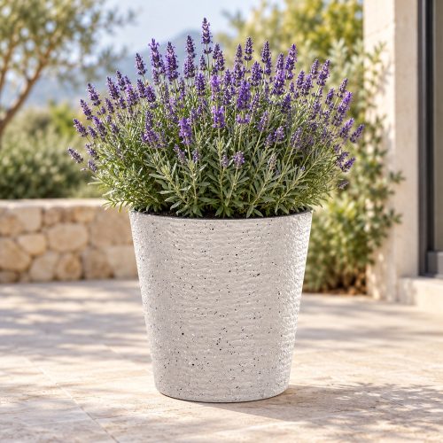 Forma világosszürke kaspó levendulával