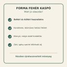 Forma fehér kaspó tulajdonságai